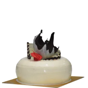 Entremet chocolat blanc praliné